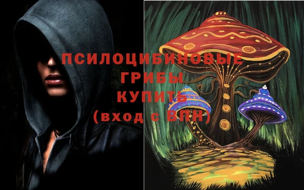 мескалин Белокуриха