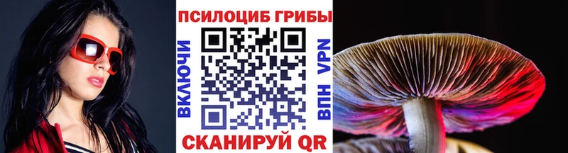закладки гидра ТОР Псилоцибиновые грибы мицелий Гудермес