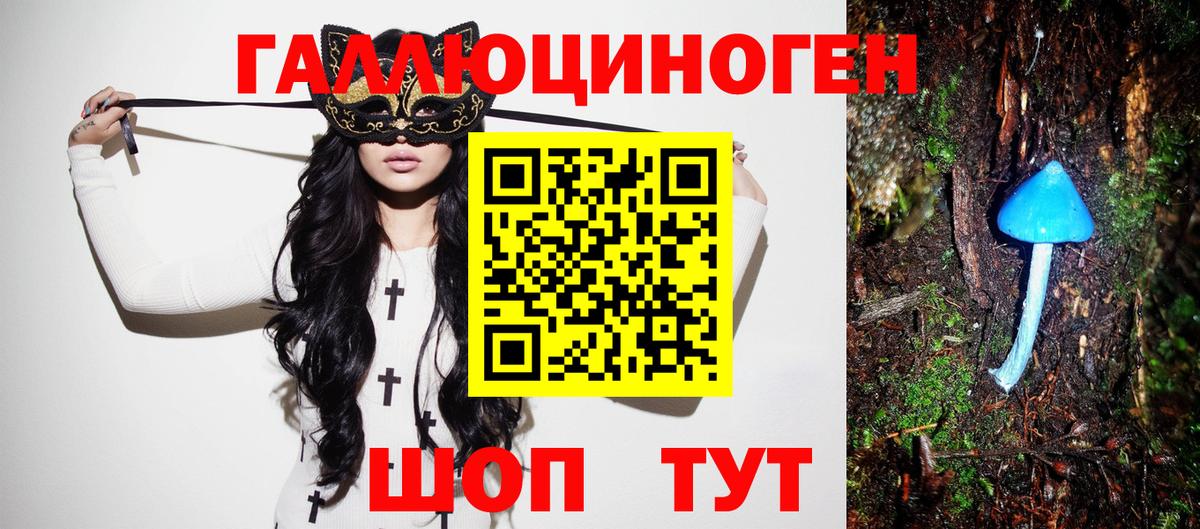 Гудермес  Псилоцибиновые грибы Psilocybe  Вход с VPN 