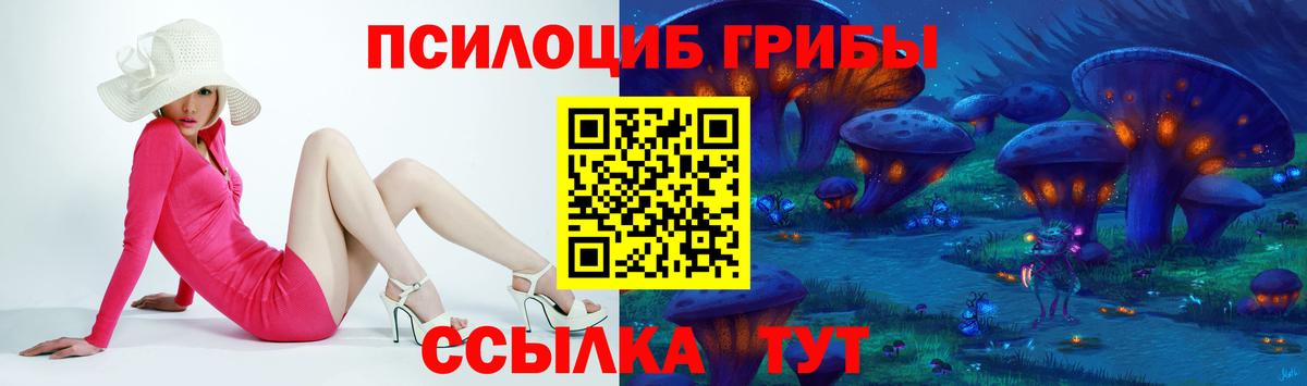 Галлюциногенные грибы Psilocybine cubensis Гудермес