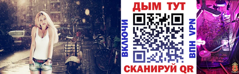 Конопля сатива Гудермес