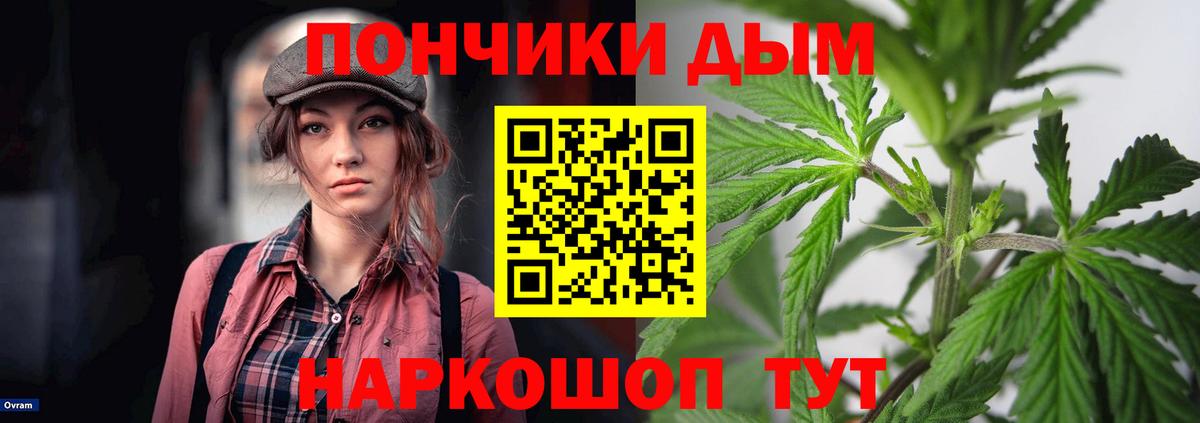 Шишки марихуана SATIVA & INDICA  Конопля White Widow  Вход с VPN  Гудермес  МАРИХУАНА LSD WEED  Конопля ГИДРОПОН 